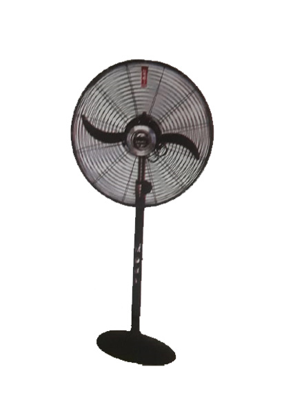 Havells Ceiling Fans - decorative